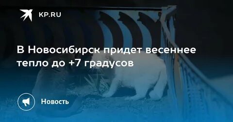 Новосибирский гидрометцентр сайт