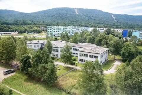 Погода светлогорье пожарский