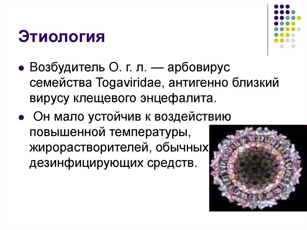 Геморрагическая лихорадка вирус. Тогавирусы флавивирусы. омская геморрагическая лихорадка этиология. вирус омской геморрагической лихорадки микробиология. вирус омской геморрагической лихорадки антигенная структура.