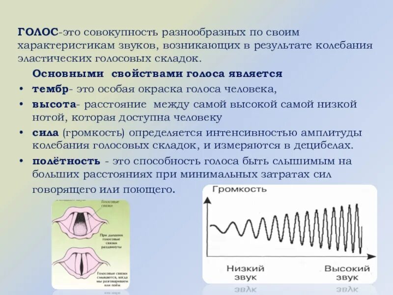 Высота голоса зависит от голосовых связок. Асинхронные колебания голосовых складок. Амплитуда колебания голосовых складок. Голосовое колебание. Осцилляция результатов.