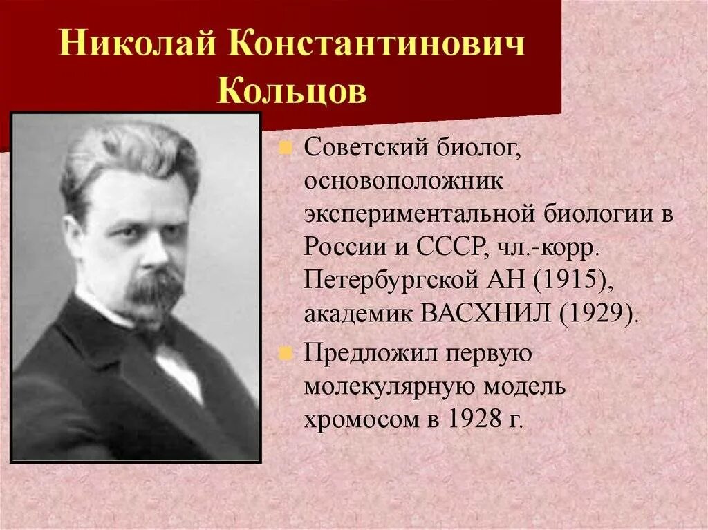 Сколько живут николаи. Н К Кольцов генетика. Кольцов н.к. (1872-1940).