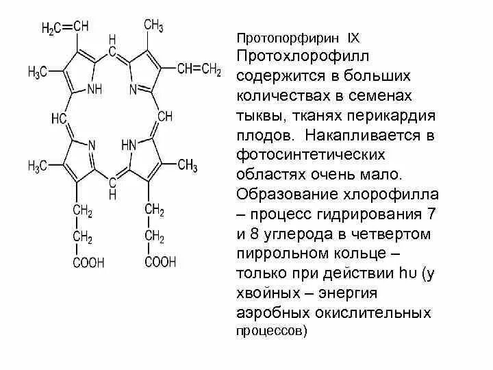 Протопорфирин