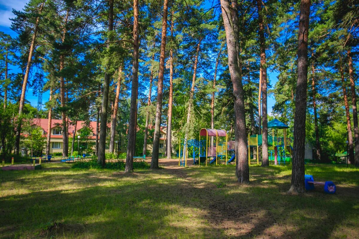 комплекс оздоровительных лагерей. комплекс оздоровительных лагерей. красная гвоздика деревня мансурово. краснодарский край новомихайловский лагерь дон. детские летние лагеря.