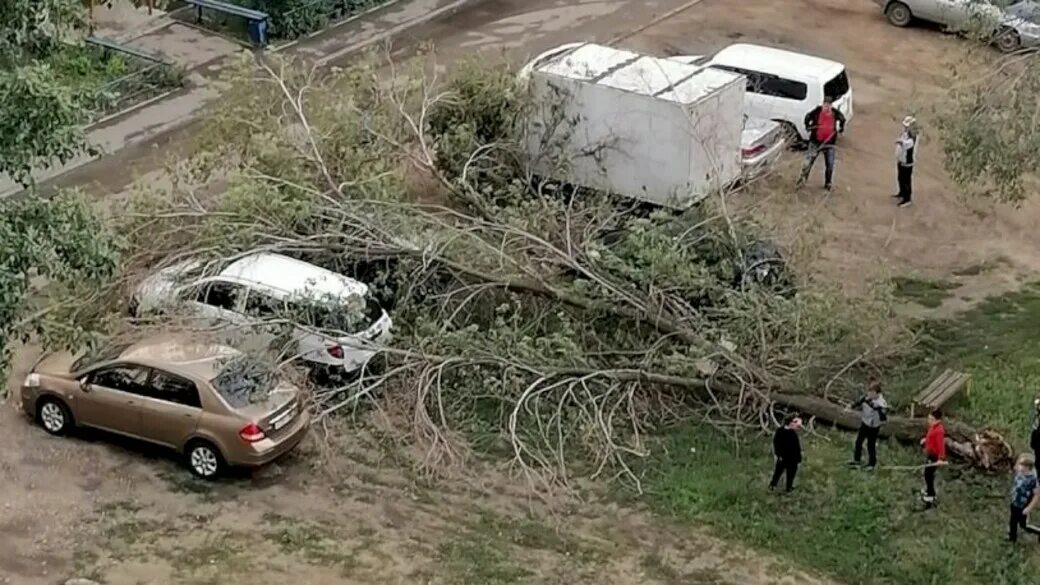 М 5 упал. Дерево рухнуло на машины. Упавшее дерево. Машина упавшая в Дагестане.