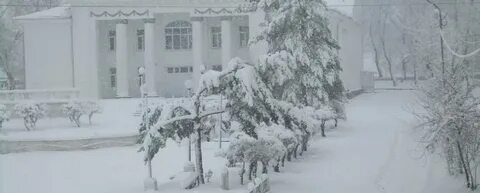Погода в приморском крае ярославском