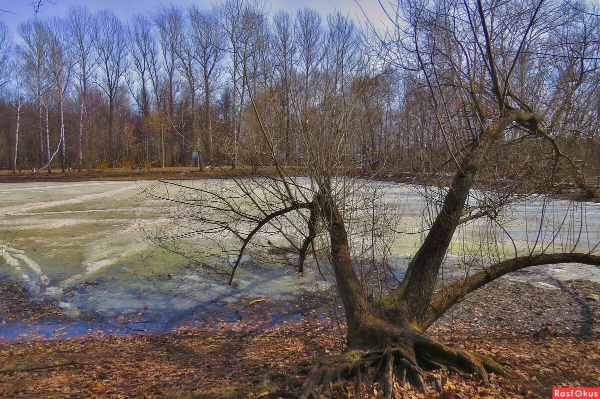весенние ручьи. объект апрель. объект апрель. ещё земли печален вид тютчев.