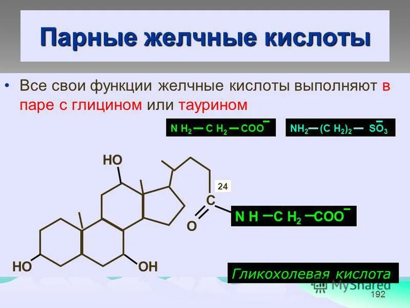 Парные (конъюгированные) жёлчные кислоты. Формулы желчных кислот биохимия. Строение желчных кислот. Формулы парных желчных кислот. Альфолиподиеева кислота