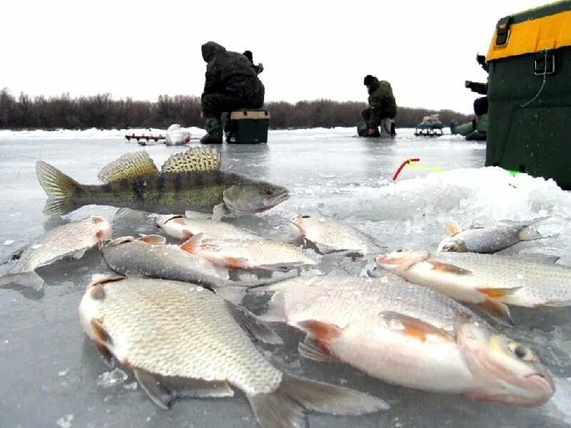 На что ловить рыбу в марте. Зимняя рыбалка. Рыбак зимой. Зимняя рыбалка на Озерах. Зимняя рыбалка улов.