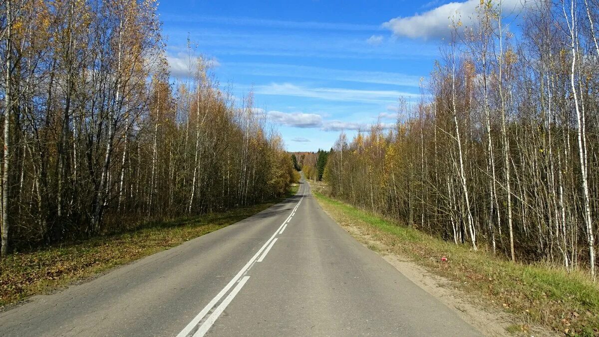 Смоленская дорога. По Смоленской дороге. Дорога Смоленская область. Старая Смоленская дорога. По смоленской дороге стих