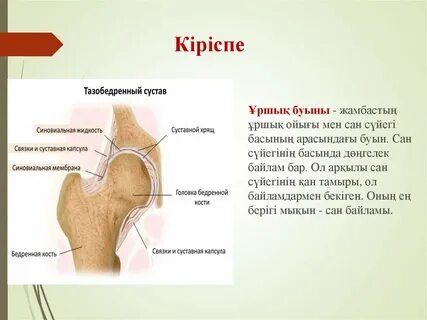 Порно секс қыз жігітті трахты