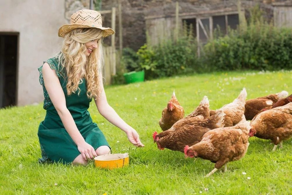 Видеть во сне много куриц. Девушка с курами. Девушка с курочкой. Фотосессия с курицей. Человек цыпленок.