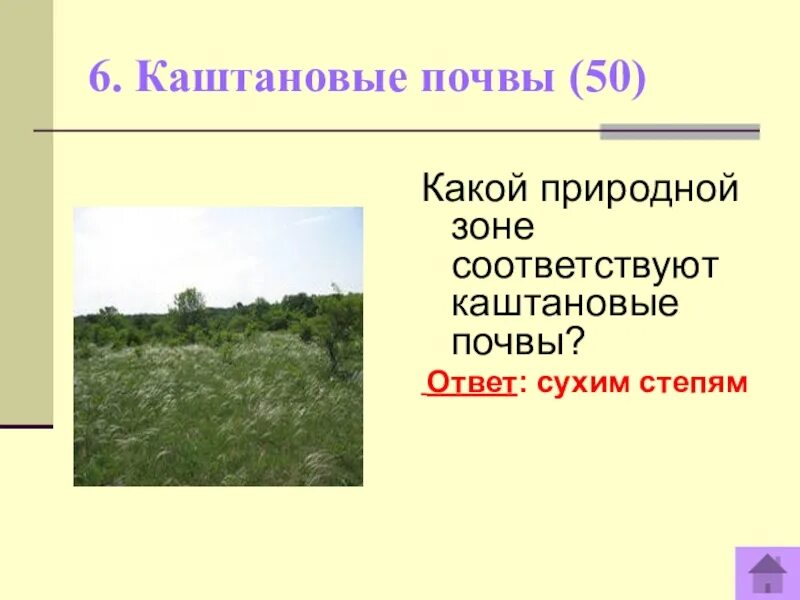 Почвы соответствие природной зоне. Каштановые почвы природная зона. В какой природной зоне каштановые почвы. Светло каштановые почвы природная зона. Светло каштановые природная зона.