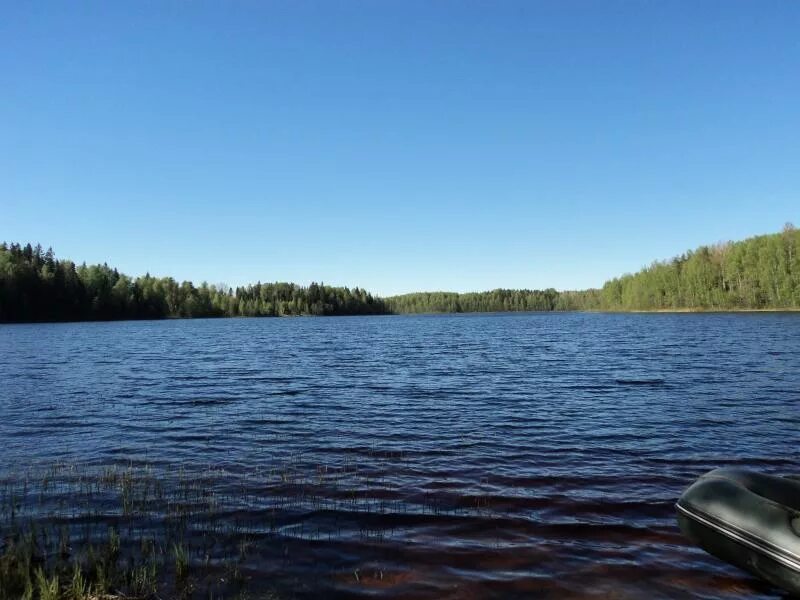 Заозерье новгородская область. Заозерье новгородская область. Озеро заозерье новгородская область. Перетно озеро новгородская область. Заозерье новгородская область.
