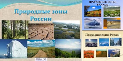 природные зоны россии картинки