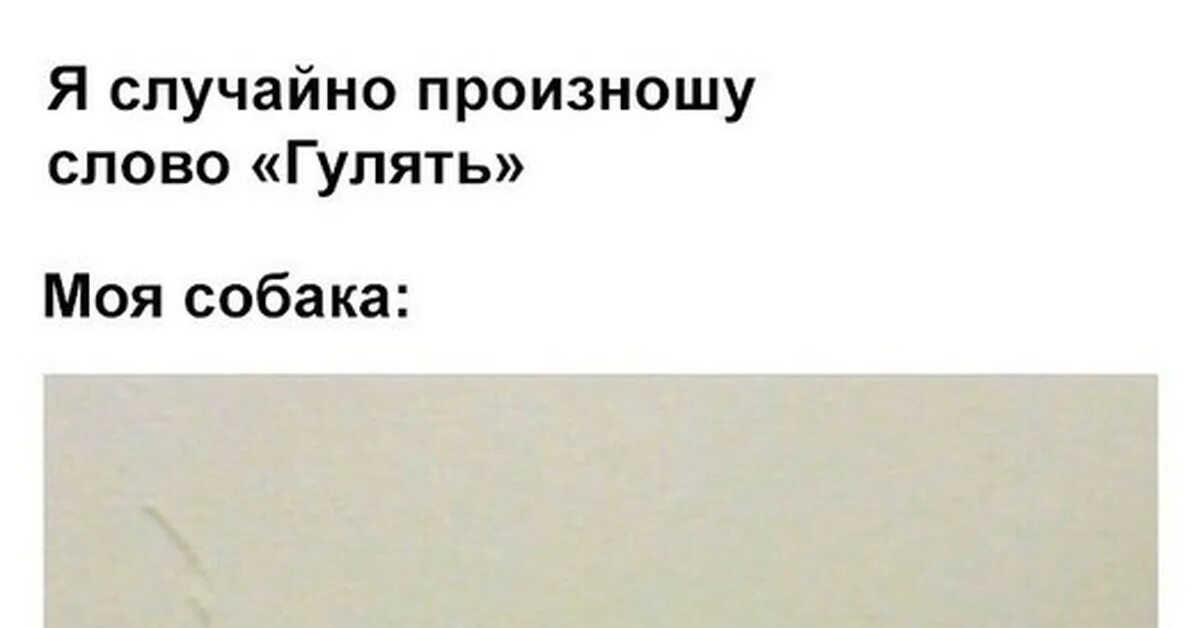 Скажи рандомно. Слово гулять. Моя собака когда слово гулять. Собака случайно произнес гулять. Собака гулять Мем.