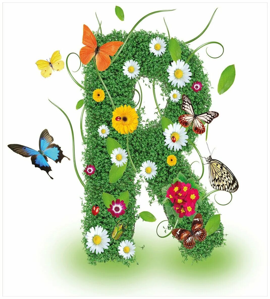 найти из букв растение. найти из букв растение. цветочные буквы. цветочная буква т. филфорд для дошкольников.