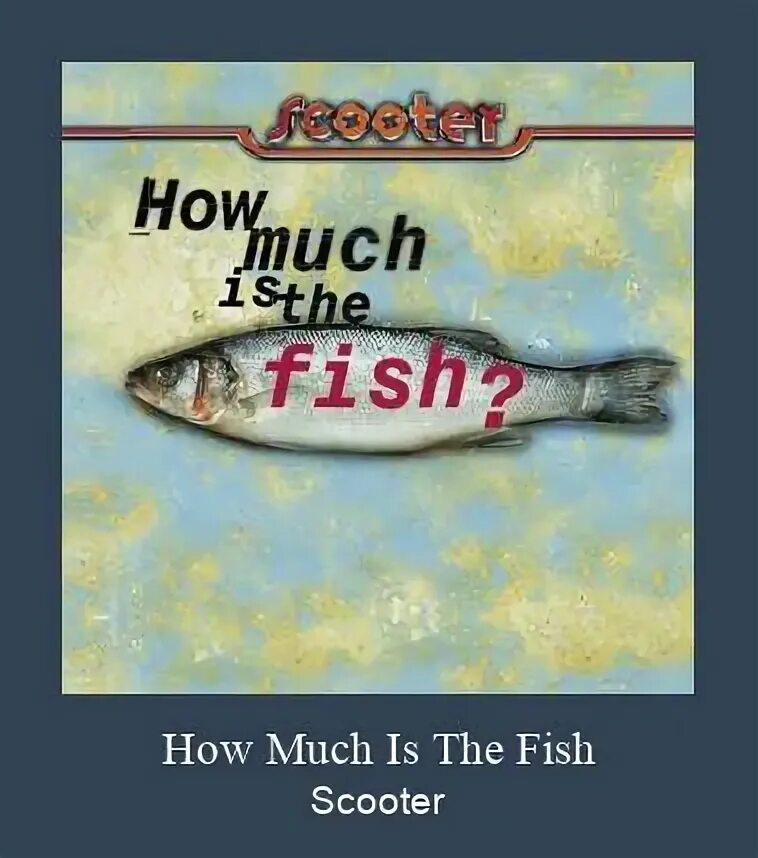 Скутер фиш слушать. Scooter Fish how much. How much is the Fish обложка. Scooter how much in the. Песня how much is the Fish.