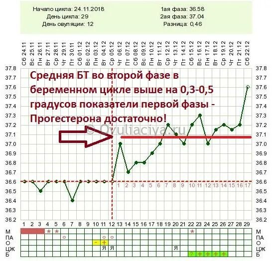 Может ли БТ при беременности быть 36.6 после имплантации. 6 День после овуляции БТ 36.6. Во второй фазе цикла температура 36.6. График базальной температуры. После овуляции должны быть выделения