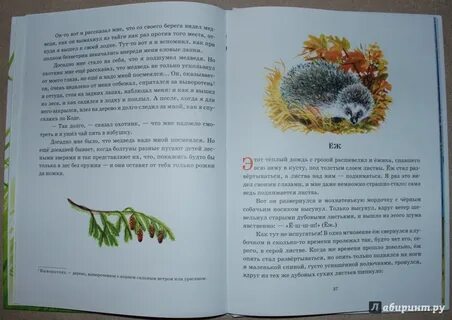 Пришвин шел