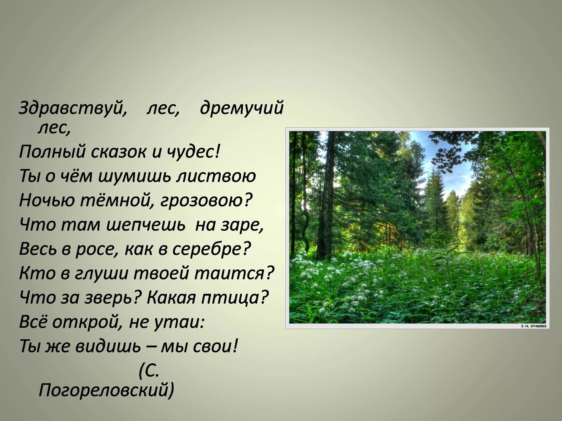 Рассказ о лесе. Презентация на тему лес. Лес для презентации. Стихотворение Здравствуй лес. Он всему лесному году начало