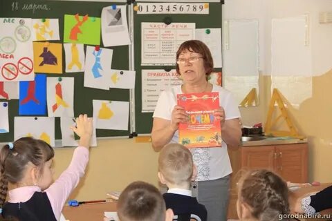 Teacher 7
