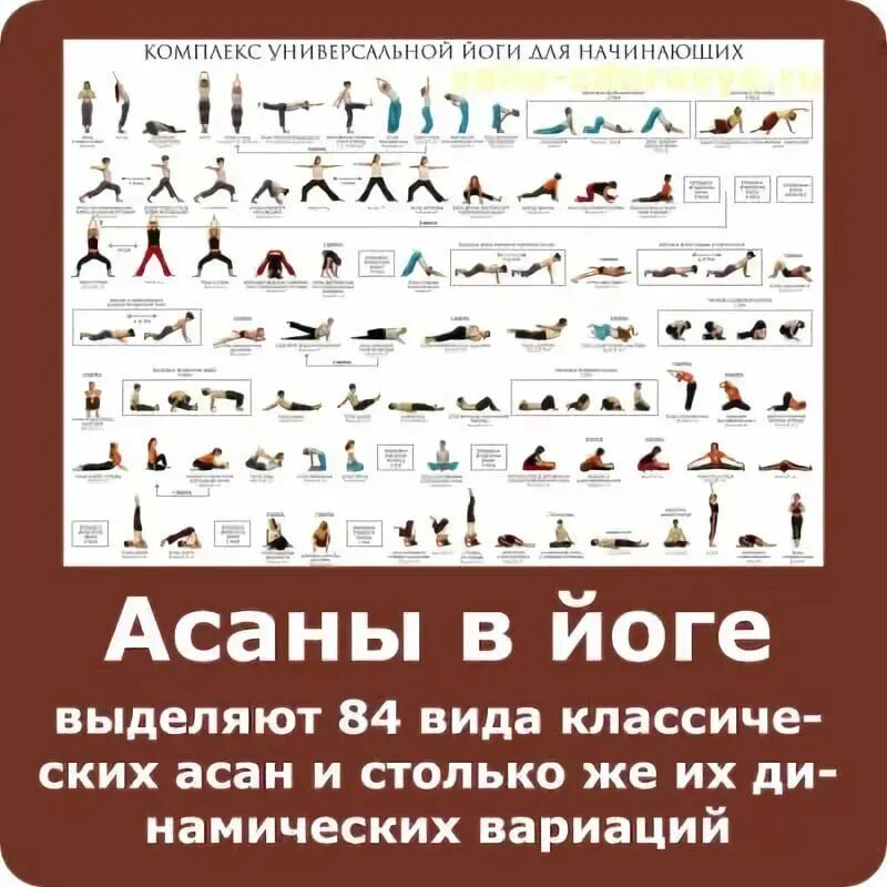 Йога асаны. Асаны картинки. Позы йоги названия. Йога асаны картинки.