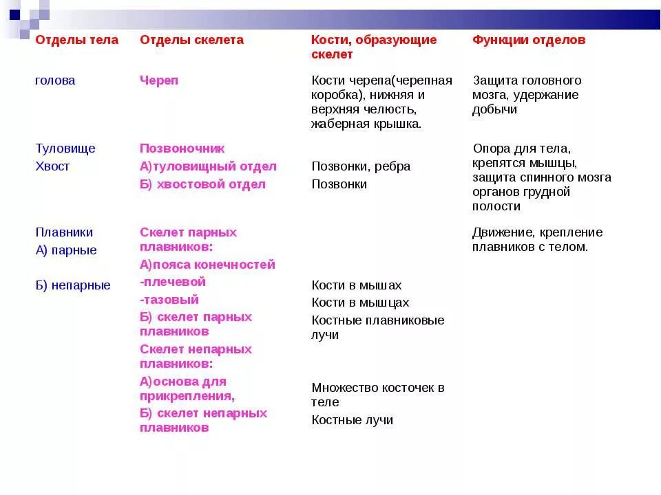 Строение скелета таблица. Кости образующие отдел скелет туловища рыбы. Строение и функции скелета человека таблица. Отделы скелета рыб функции.