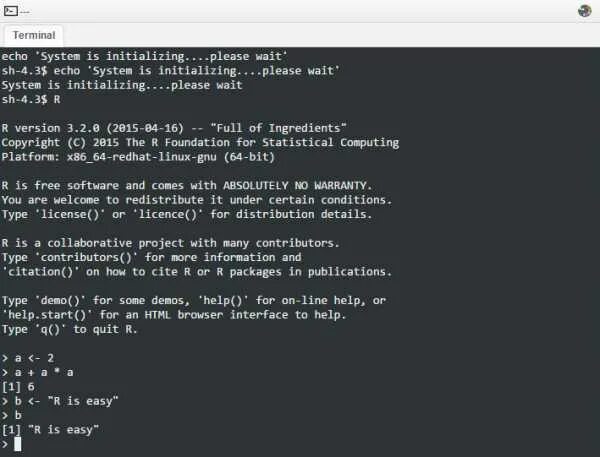 Echo system. R Programming language.
