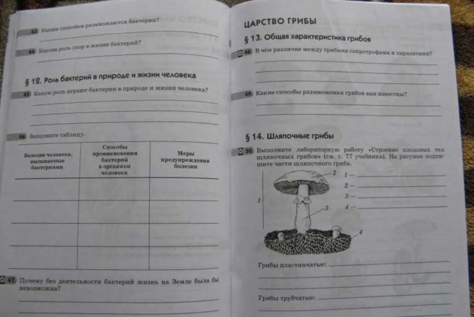 Биология рабочая тетрадь царство грибы. Рабочая тетрадь по биологии 5. Рабочая тетрадь по биологии 5 класс. Тест по биологии грибы.