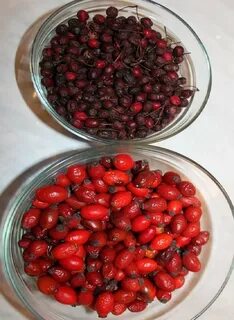 Шиповник и боярышник