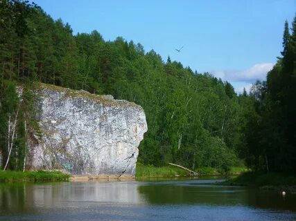 Сокол камень