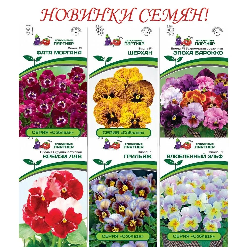Агрофирма виола каталог 2025. Семена цветов петуния фирмы агрофирма партнёр. виола семена партнер. агрофирма партнер семена петунии. виола агрофирма партнер.