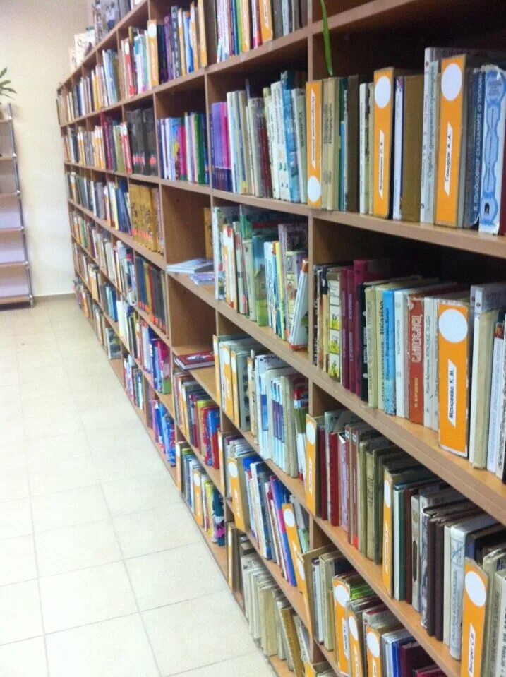 модельная библиотека нового поколения услуги. детская библиотека калининград. леонова, калининград. библиотека андерсена проспект мира. гурьевская библиотека.