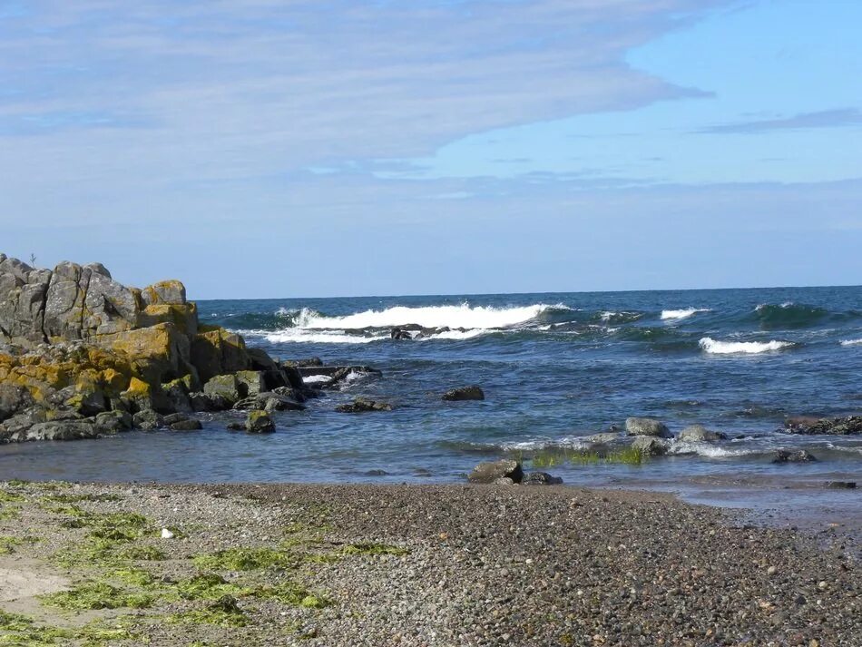 Картинки Россия Baltic Sea Zelenogradsk Rose пляжи Море 2560x1706