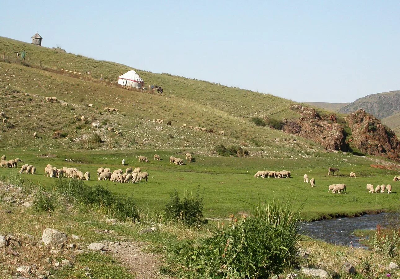 Горы Мерке Казахстан. Село Мерке Жамбылская область. Казахстан Джамбульская область село Мерке. Киргизия город Мерке.