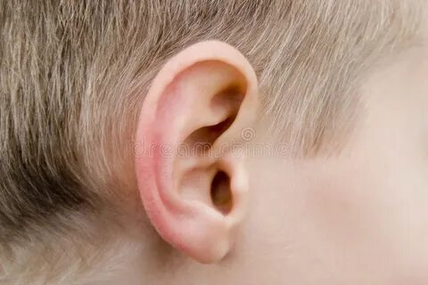 Из одного уха выходит