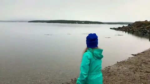 Алиса белое море