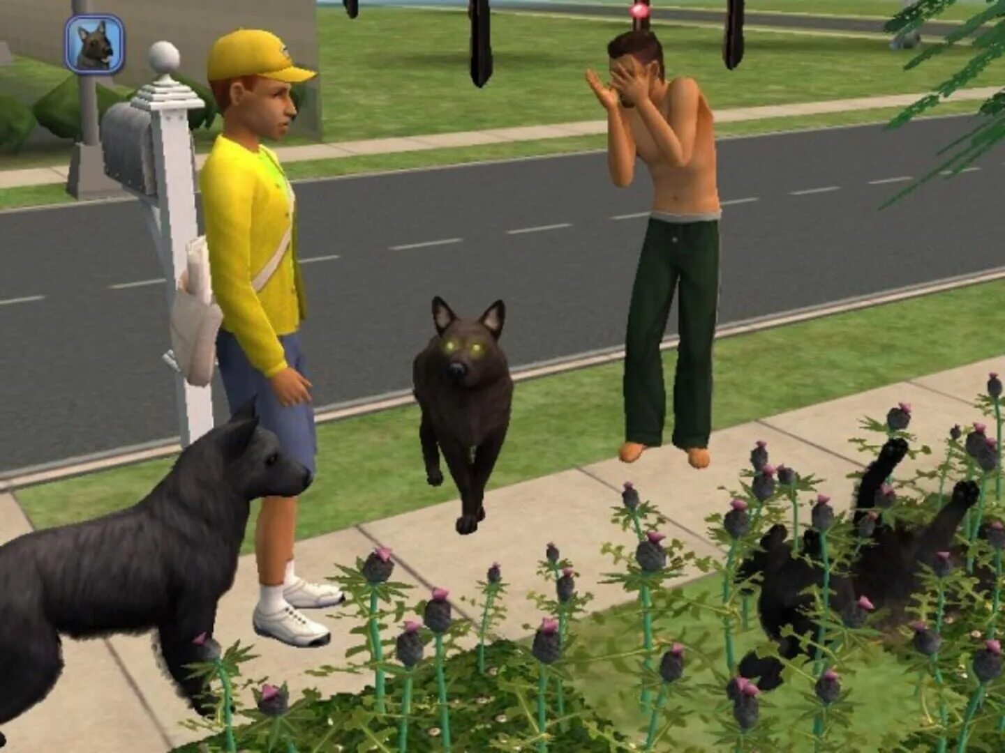 The SIMS 2: питомцы. SIMS 2 Pets. SIMS 2 питомцы Алиса. Симс 2 питомцы Вебер.