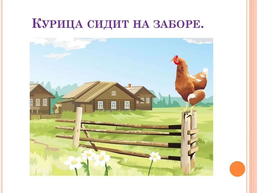 На заборе сидит петух под забором. Курица сидит на заборе. петух сидит на заборе. сидит на заборе. куры на заборе.