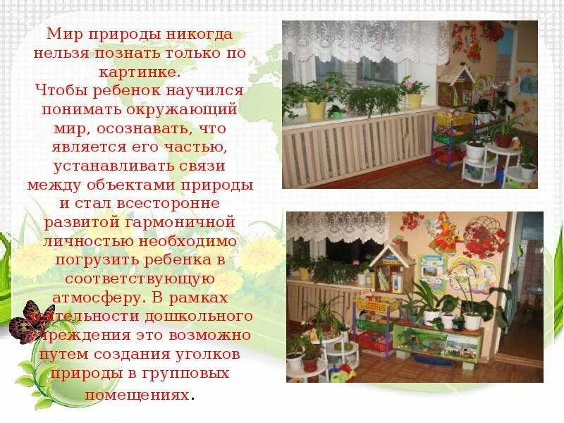 Презентации уголков природы. Уголок природы в детском саду. Презентация уголок природы в детском саду. Уголок природы в ДОУ презентация. Стих про уголок природы.