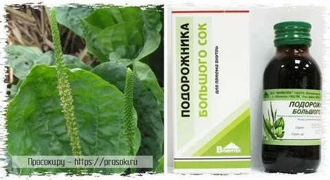 Подорожник для желудка