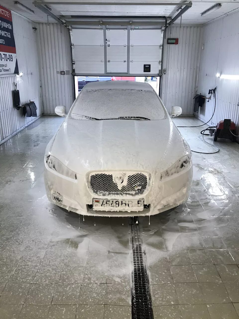 Ягуар nx на мойки. Ягуар мойка. Ягуар мойка. Коты на автомойке. Коты на автомойке.
