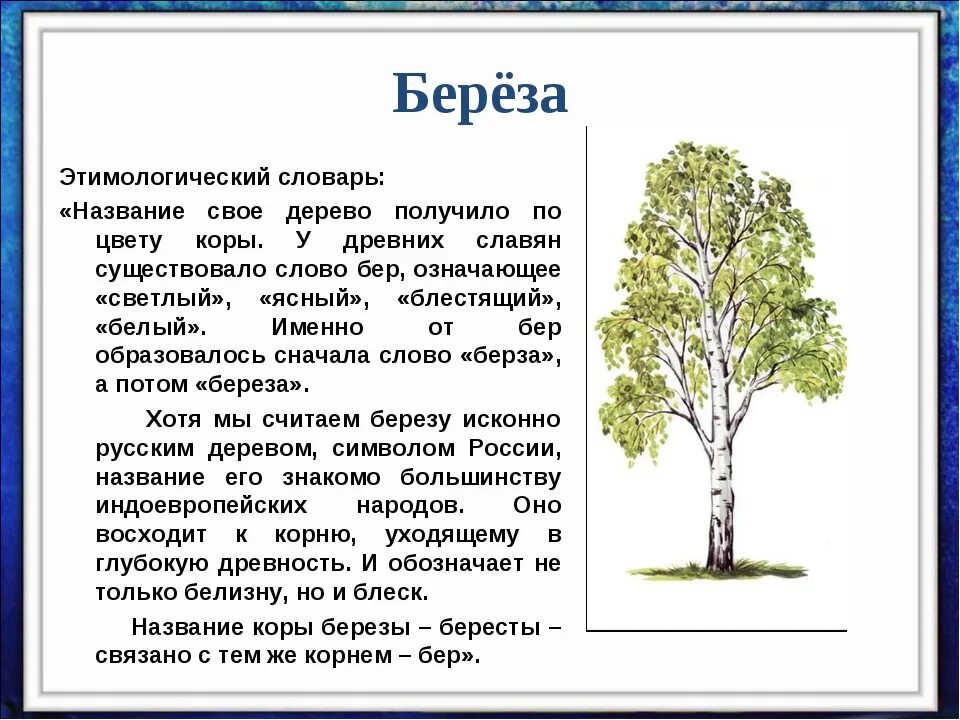 2 3 4 деревья пример