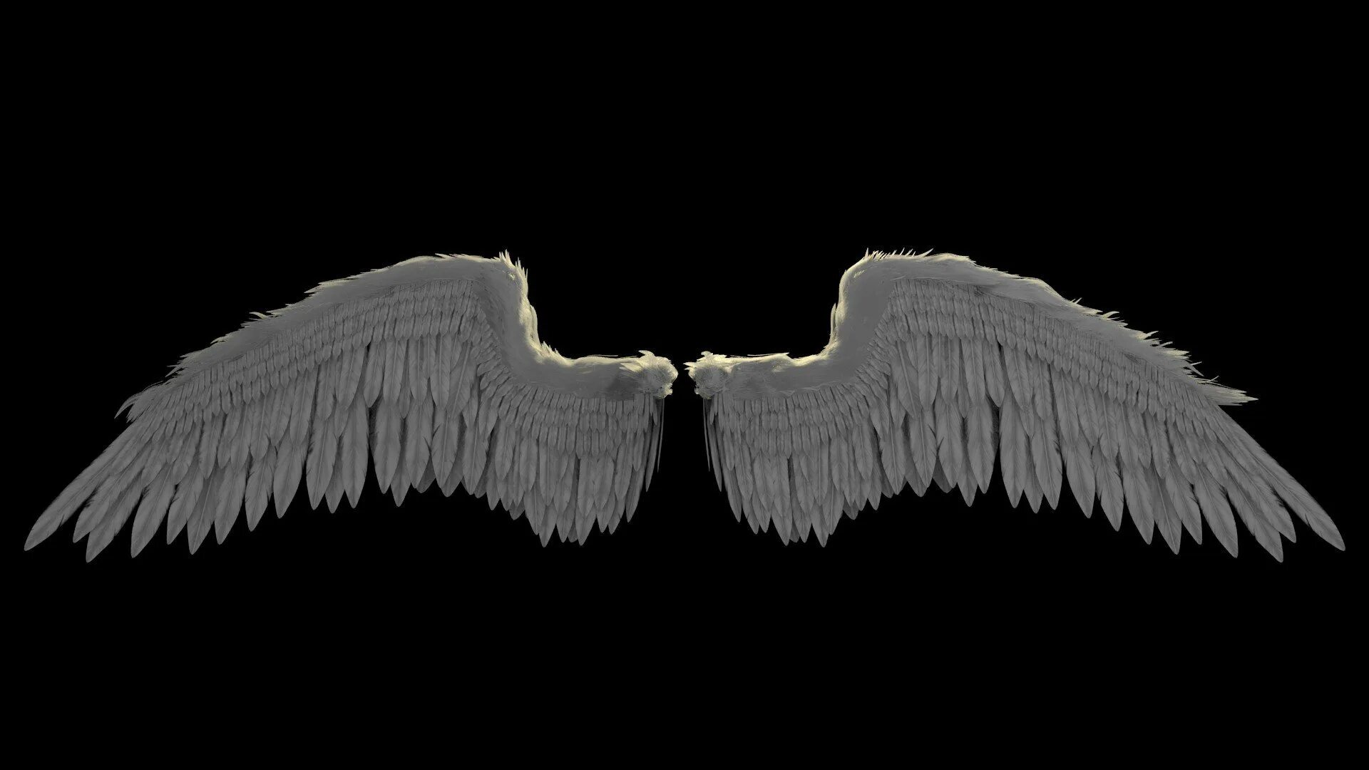 Ангельские Крылья. Черные Крылья. Красивые Крылья. Ангел с крыльями. Крылья на черном фоне