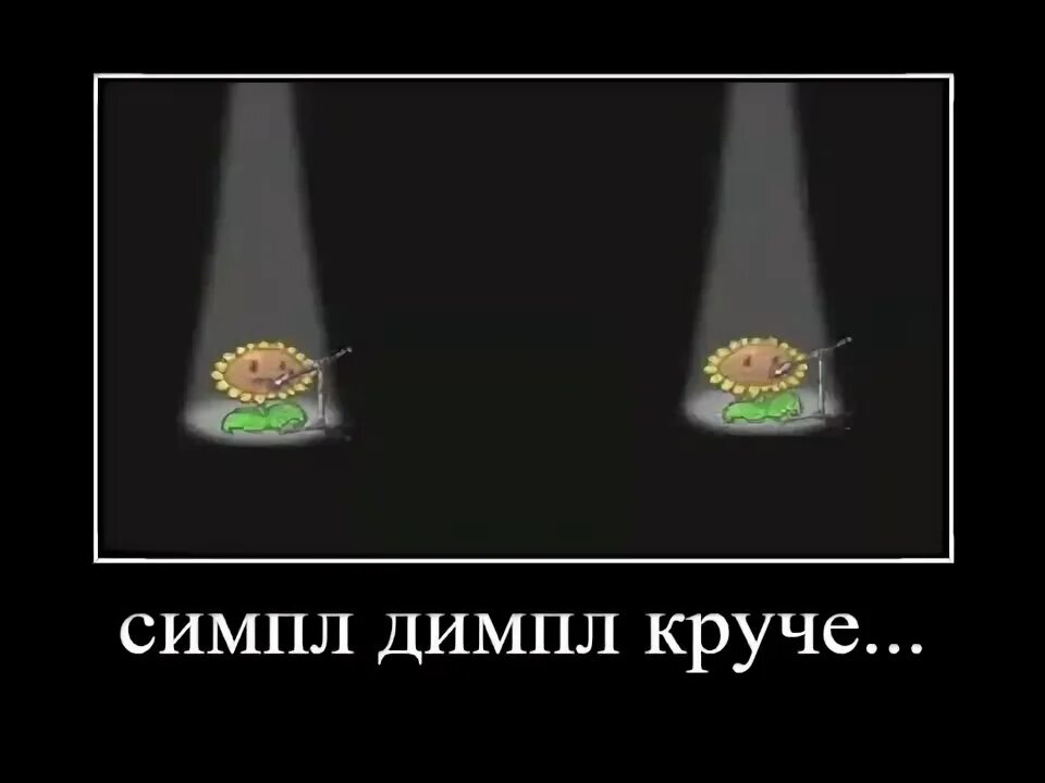 Песни симпл димпл попить. Симпл димпл круче. симпл димпл мем. симпл димпл или попить мем. что круче симпл димпл или поп.