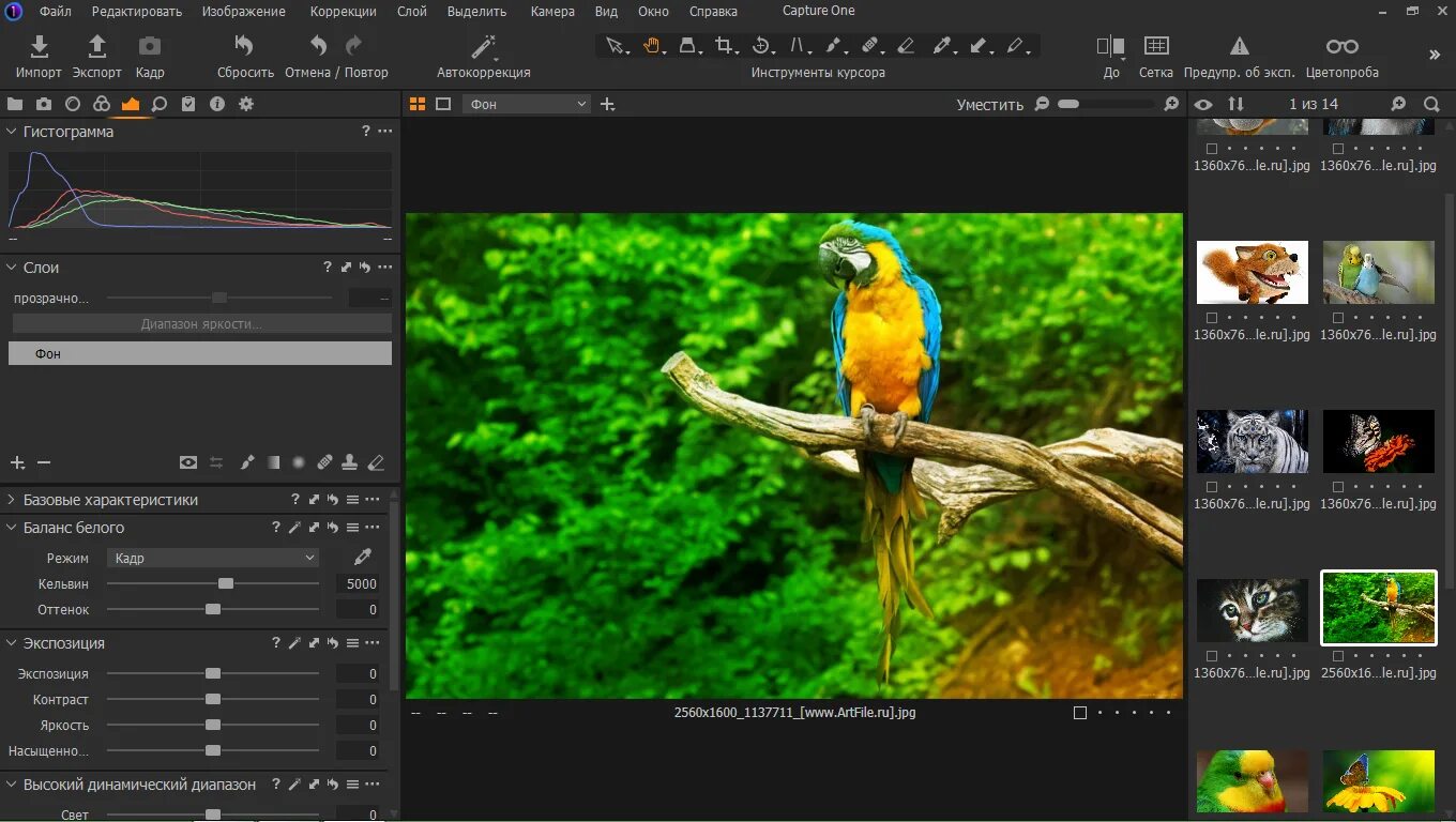 Capture one Pro 21. Phase one capture one Pro 20 13.0.3.19 Final. Capture one Pro 22. Capture one 2020. Https n3 lordserialz1 pro