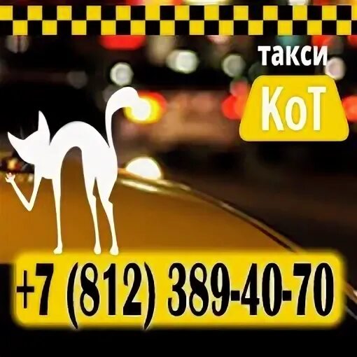 Такси кот
