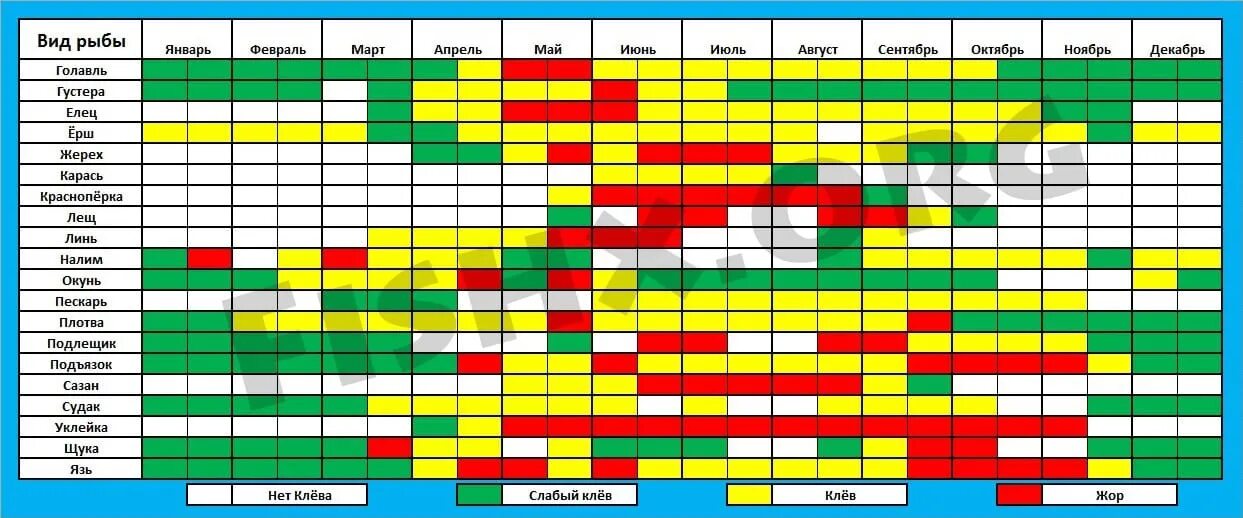 Клев по месяцам. Таблица клева рыбы по месяцам. Таблица сезонности рыбы. Сезонность ловли рыбы. Клев щуки поимесяцам.