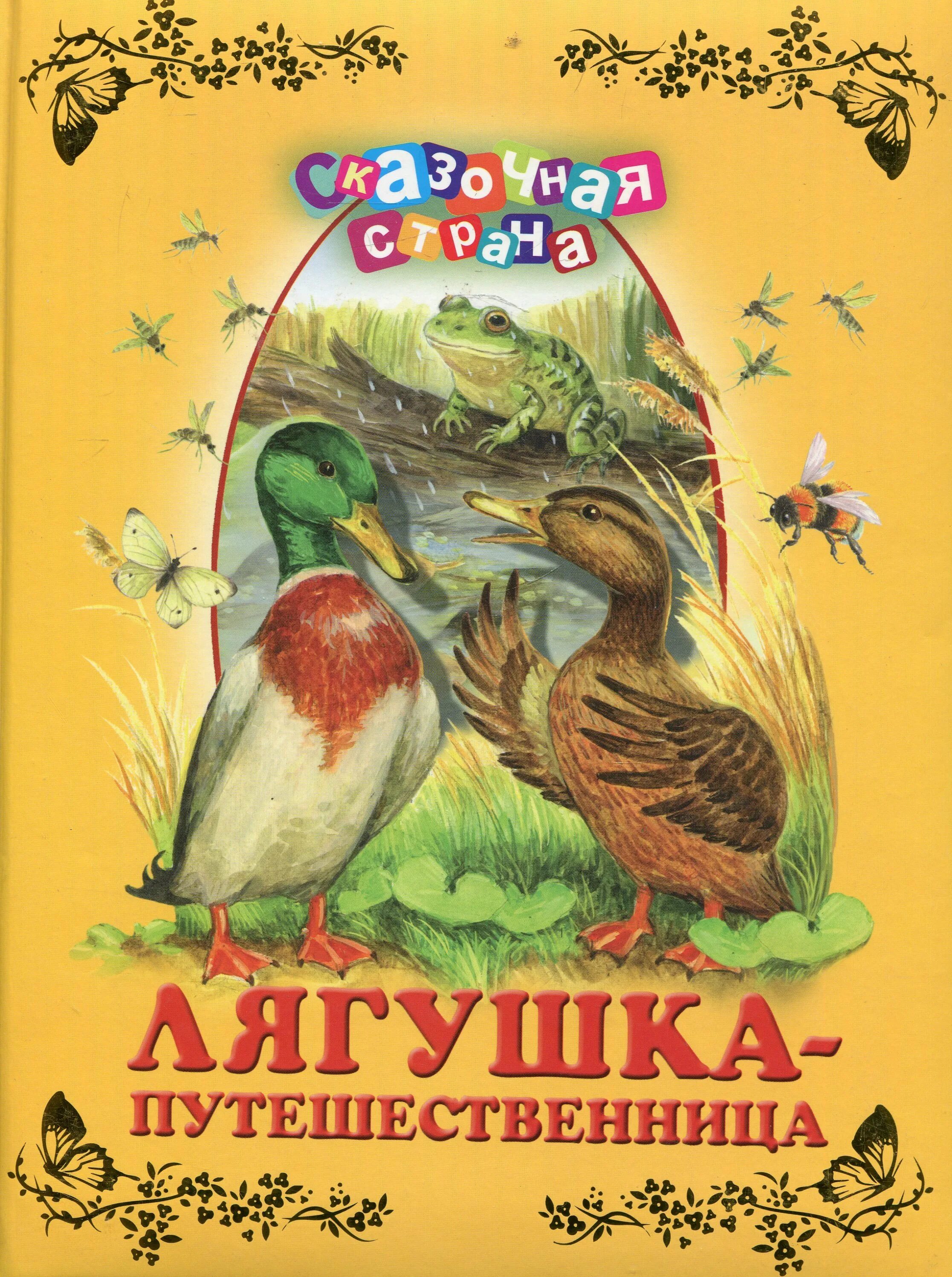 Лягушка путешественница обложка. Лягушка путешественница книга гаршин. Паспорт лягушки путешественницы. Лягушка путешественница книга гаршин. Союзмультфильм лягушка путешественница.