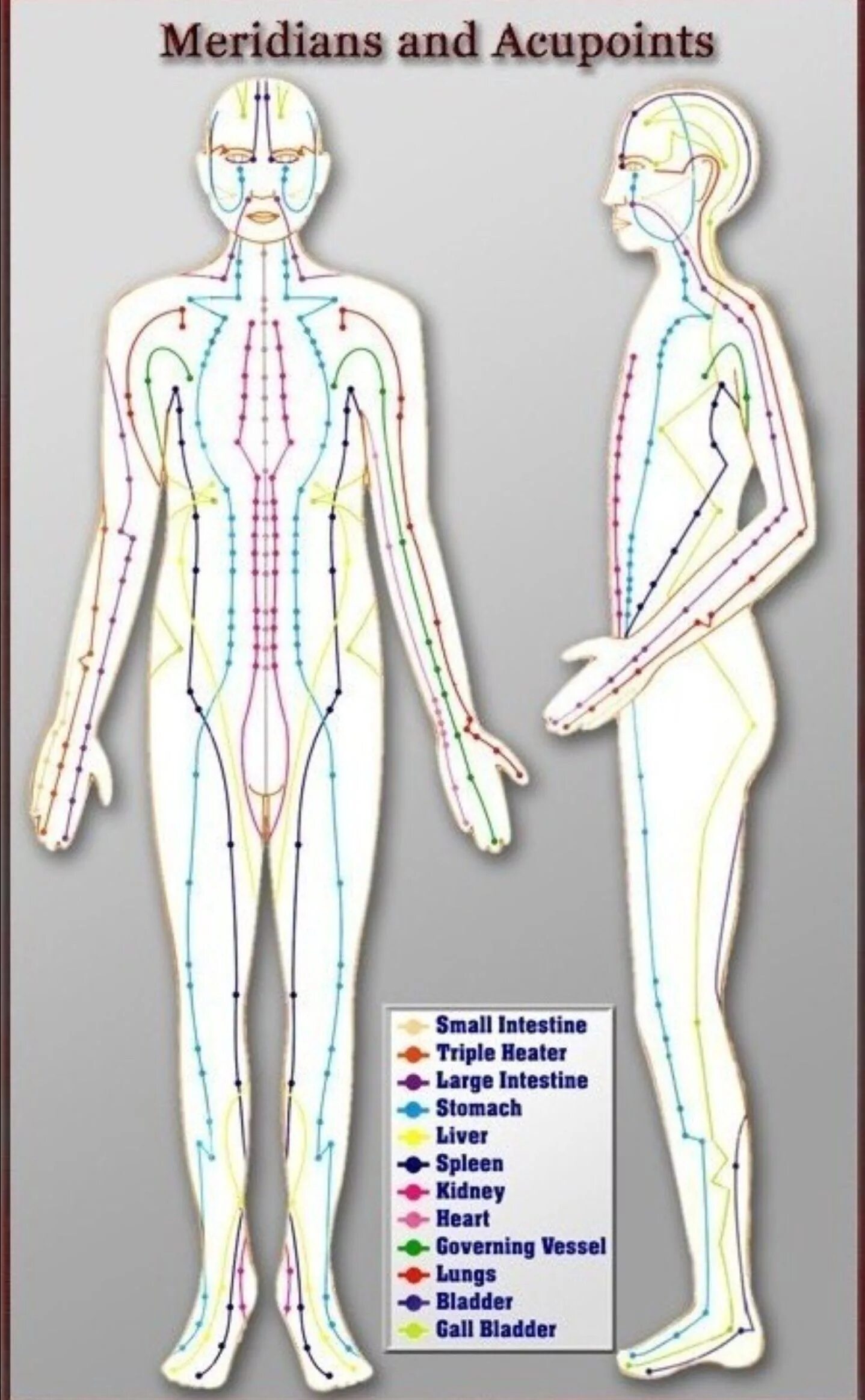 Каналы китайской медицины. Энергетические меридианы и биологически активные точки. Энергетические меридианы человека китайская медицина. 12 Меридианов в китайской медицине. Меридианы человека схема и направления китайская медицина.